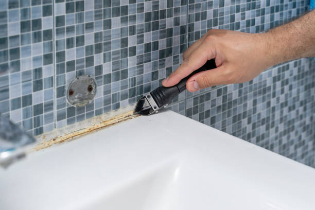 Best Preventive Mold Services in Egypt, AL